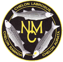 Description: nmc_colour_logo_chelon_shruti16_60pc.gif (28672 bytes)